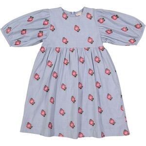 Pink Chicken | Blue & White Check Embroidered Bea Dress